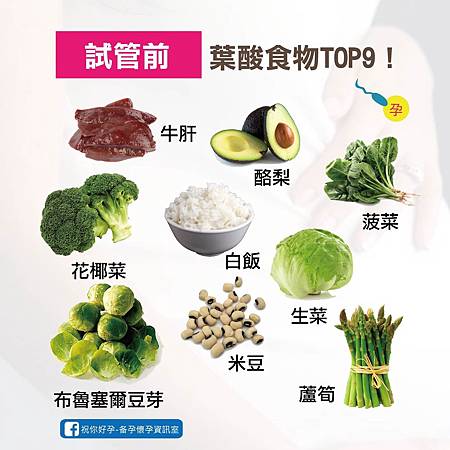 試管葉酸-02.jpg 試管葉酸-02.jpg