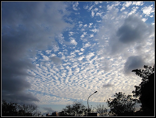 IMG_0001 IMG_0001