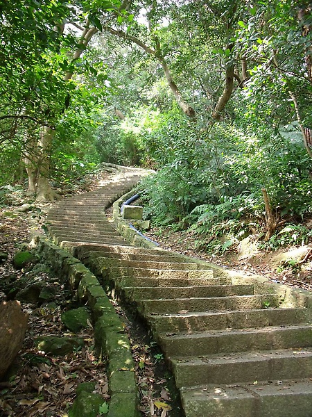 好蜿蜒的山路