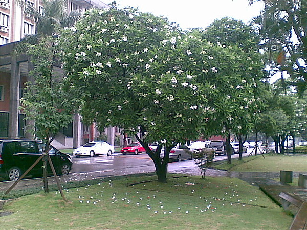 20100527.jpg