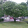 20100527.jpg