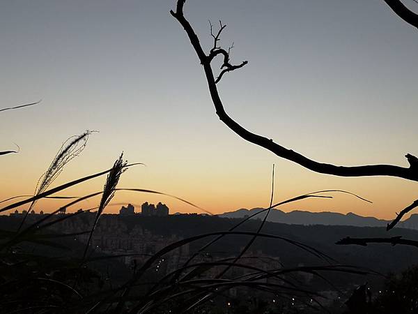 IMG_20181218_062618.jpg IMG_20181218_062618.jpg