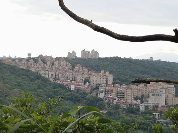 IMG_20190524_071516.jpg IMG_20190524_071516.jpg