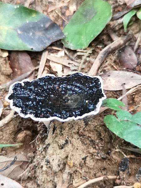 IMG_20190524_065140.jpg IMG_20190524_065140.jpg