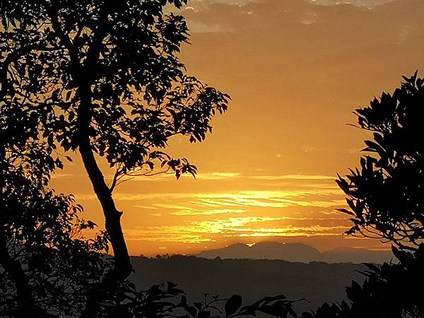 IMG_20181221_065053.jpg IMG_20181221_065053.jpg