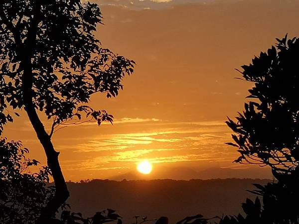 IMG_20181221_065233.jpg IMG_20181221_065233.jpg