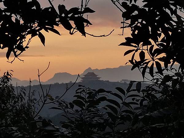 IMG_20190123_065249.jpg IMG_20190123_065249.jpg