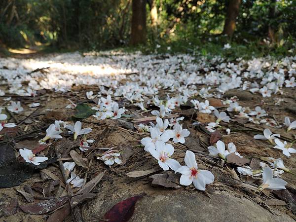 IMG_20190425_062550.jpg IMG_20190425_062550.jpg