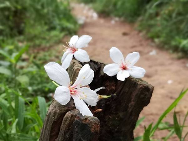 IMG_20190423_062438.jpg IMG_20190423_062438.jpg