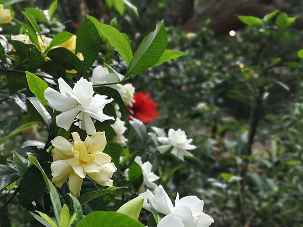 IMG_20190425_062914.jpg IMG_20190425_062914.jpg