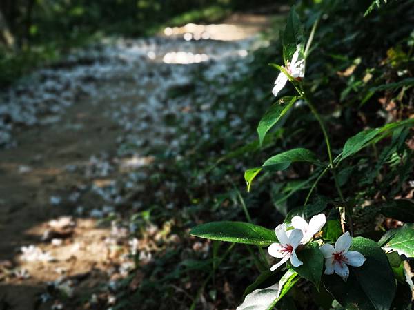 IMG_20190425_065525.jpg IMG_20190425_065525.jpg