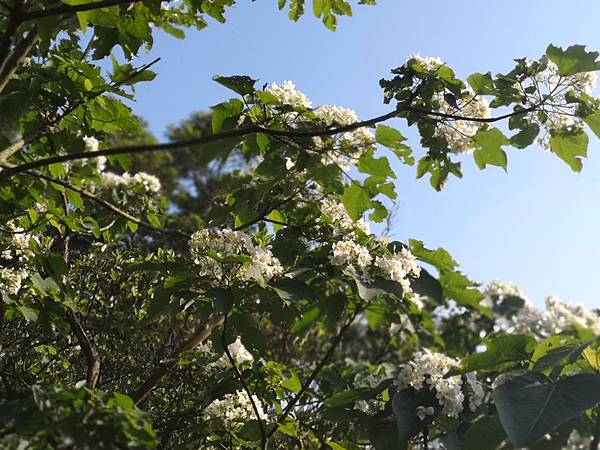 IMG_20190425_071815.jpg IMG_20190425_071815.jpg