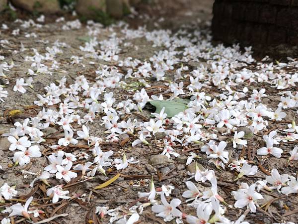 IMG_20190429_055804.jpg IMG_20190429_055804.jpg