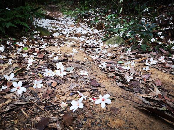 IMG_20190429_061929.jpg IMG_20190429_061929.jpg