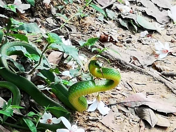 IMG_20190429_065130.jpg IMG_20190429_065130.jpg