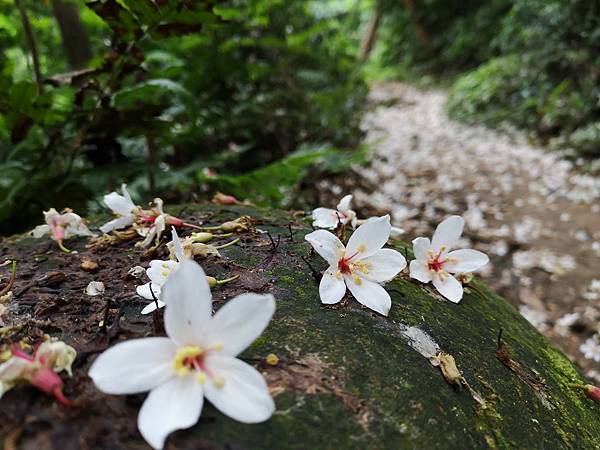 IMG_20190506_070617.jpg IMG_20190506_070617.jpg