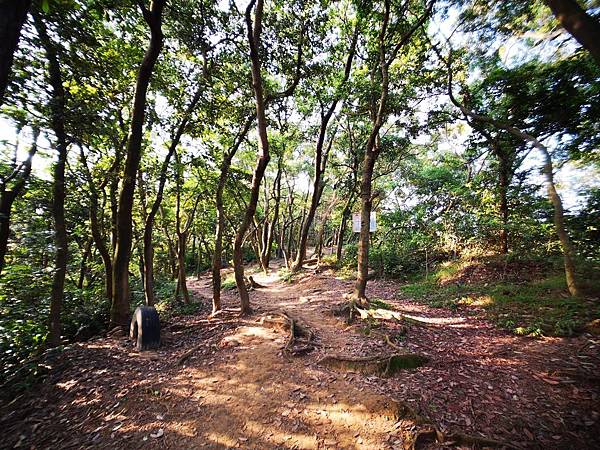 IMG_20190512_070620.jpg IMG_20190512_070620.jpg