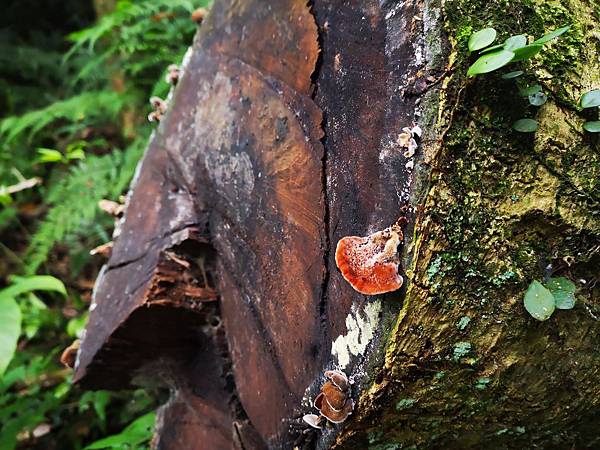 IMG_20190515_065425.jpg IMG_20190515_065425.jpg