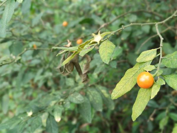 IMG_20190515_072449.jpg IMG_20190515_072449.jpg