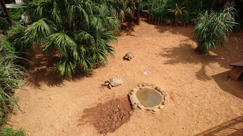 新竹縣關西鎮~六福莊生態渡假旅館(leofoo resort