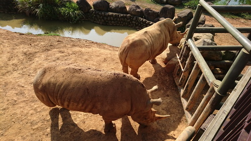 新竹縣關西鎮~六福莊生態渡假旅館(leofoo resort