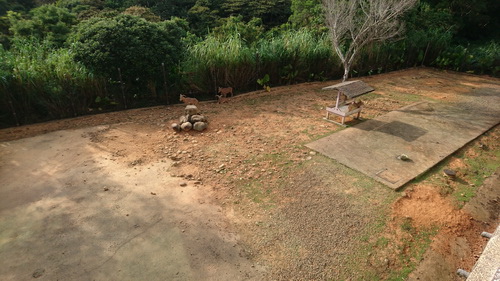 新竹縣關西鎮~六福莊生態渡假旅館(leofoo resort