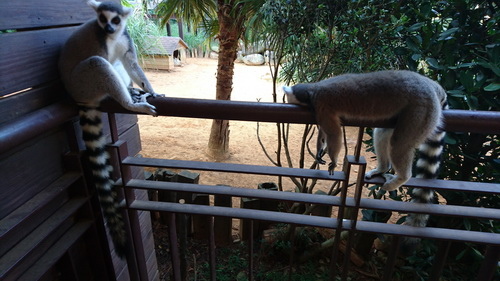 新竹縣關西鎮~六福莊生態渡假旅館(leofoo resort