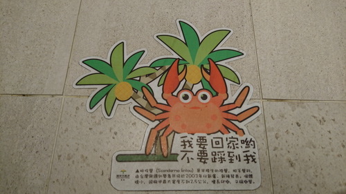 新北市貢寮區~福容大飯店福隆(精緻和洋客房之海洋奇緣主題房)