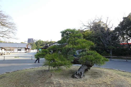 日本四國六日d6 栗林公園 中野うどん学校 讚岐烏龍麵diy 金刀比羅宮 高松空港 Takamatsu Airport In高松市香川縣 Eat S Blog 隨意窩