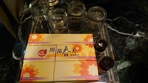 宜蘭縣礁溪鄉~川湯春天溫泉飯店德陽館(溫馨家庭房禪之風呂)-