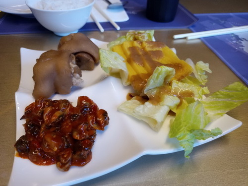 南投縣魚池鄉~日月潭大飯店(Sun Moon Lake Ho