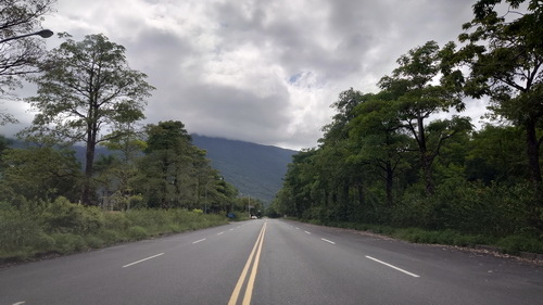 花蓮縣鳳林鎮~丘丘．森旅(小島．賴水)-20230713