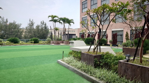 台中市梧棲區~震大金鬱金香酒店GOLDEN TULIP(溫馨