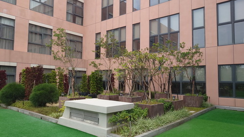 台中市梧棲區~震大金鬱金香酒店GOLDEN TULIP(溫馨