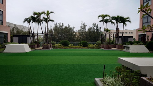 台中市梧棲區~震大金鬱金香酒店GOLDEN TULIP(溫馨