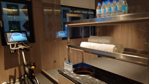南投縣魚池鄉~日月潭力麗溫德姆溫泉酒店WYNDHAM Sun