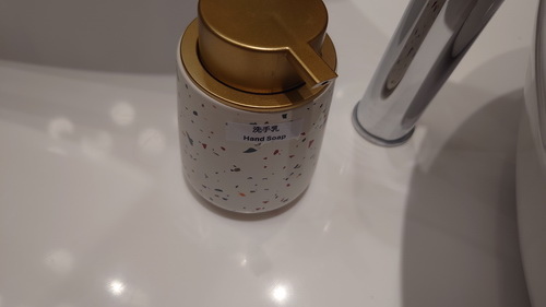 南投縣魚池鄉~日月潭力麗溫德姆溫泉酒店WYNDHAM Sun