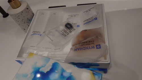 南投縣魚池鄉~日月潭力麗溫德姆溫泉酒店WYNDHAM Sun