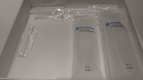 南投縣魚池鄉~日月潭力麗溫德姆溫泉酒店WYNDHAM Sun