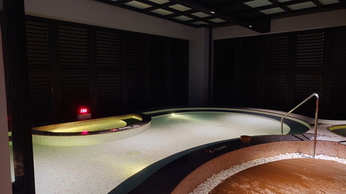 南投縣魚池鄉~日月潭力麗溫德姆溫泉酒店WYNDHAM Sun