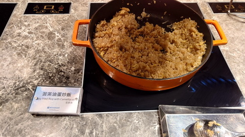 南投縣魚池鄉~日月潭力麗溫德姆溫泉酒店WYNDHAM Sun