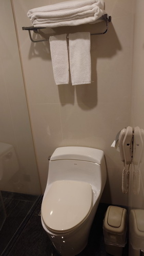 台中市西屯區~永豐棧酒店大墩館(溫馨闔家套房)-201905