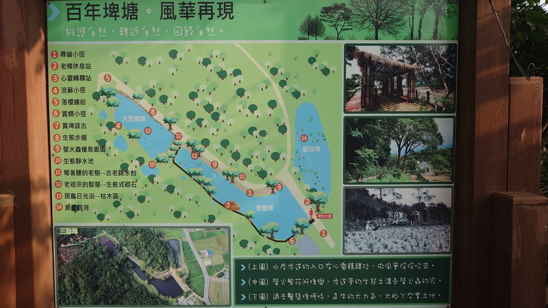 苗栗縣三灣鄉~山上村 hill cafe -20250123