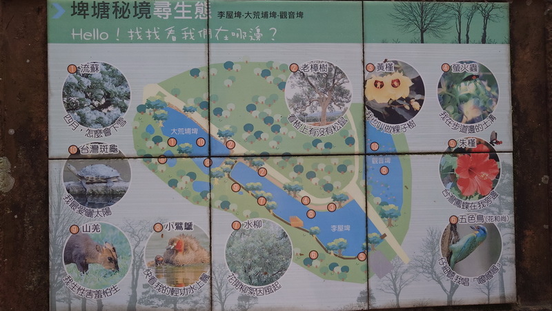 苗栗縣三灣鄉~山上村 hill cafe -20250123
