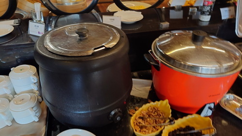 南投縣魚池鄉~日月潭大飯店(Sun Moon Lake Ho