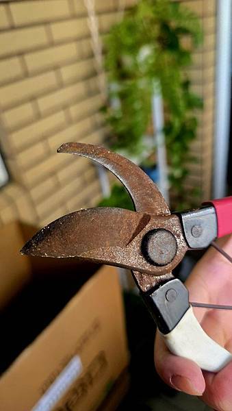 [ MINGTOOL 銘刀 ] ✂️日本鋼園藝剪/日本頂級