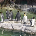  上野動物園-10.JPG