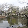 恩賜公園-4.JPG