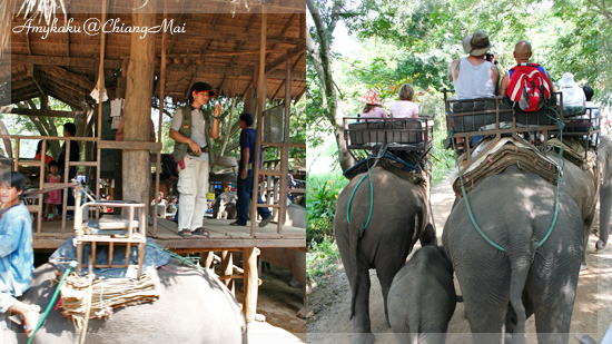 Elephant riding