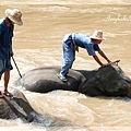 MAETAMAN ELEPHANT CAMP